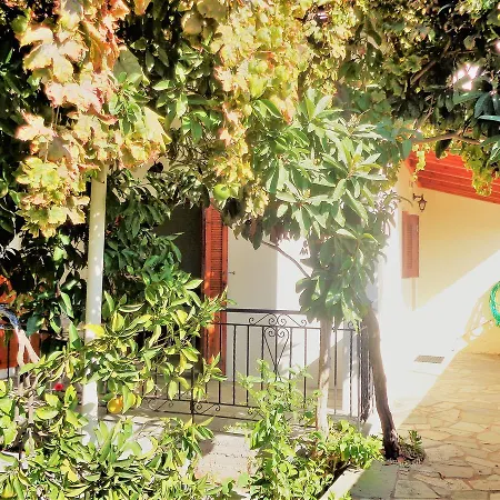 Jenny's House Is Guests' Favorite Part Of Διαμέρισμα *