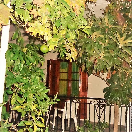 Jenny's House Is Guests' Favorite Part Of Διαμέρισμα *